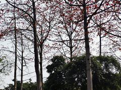 -南宁南湖公园