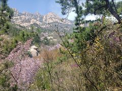 -崂山巨峰游览区