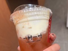 -一树一叶·福建茶档(石鼓路店)