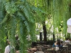 -Fern Forest Cafe