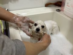 -爪爪喵星球·猫舍(前海卓越店)