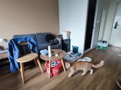 -泊寓(真如上海西站旗舰店)