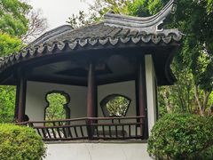 -秋霞圃