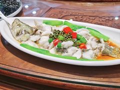 -鸽云轩(望牛墩店)