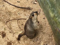 -泉州海丝野生动物世界