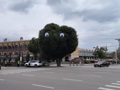 -特克斯八卦城