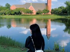 -贡湖湾湿地公园