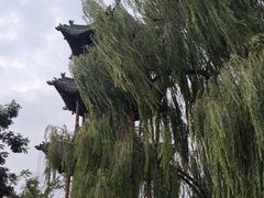 -山西王家大院