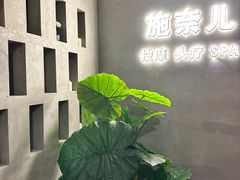 -施奈儿.洗头頭療.按摩SPA.采耳(上梅林店)
