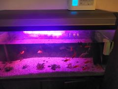 门面-智慧盲人按摩艾灸-颈肩腰膝疼痛调理(浦东店)