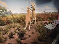 -陕西自然博物馆