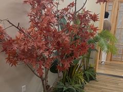 -东方之珠洗浴休闲广场(南开店)