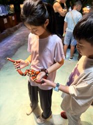 -酷嗒动物文化乐园(cutezoo西溪乐天城店)