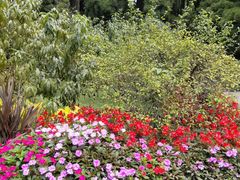 -庐山风景区花径公园