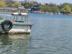 -鹊华居·地道鲁菜·海鲜·融合味(大明湖店)