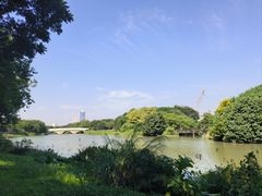 -海珠湖公园