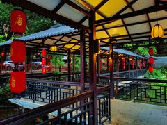 -侨美·唐荔园·40年地道粤菜