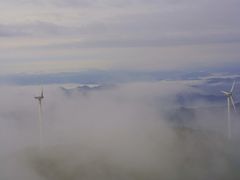 -东白山