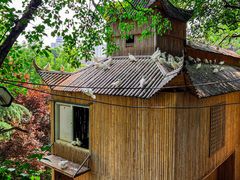-紫荆山公园