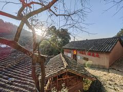 -杨家堂村