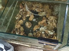 -四海鲜渔家菜(黄金海岸店)