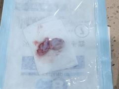 -伟伟宠物医院·CT影像中心·瑞派犬猫综合性门诊(汉口总院)