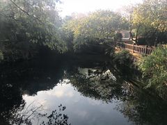 -贵阳市花溪国家城市湿地公园