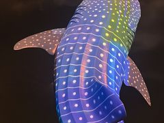 -珠海长隆海洋王国