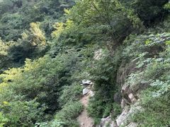 -秦岭风景区