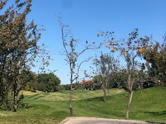 -万柳高尔夫俱乐部