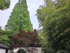 -上海醉白池公园