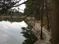 -庐山风景区花径公园