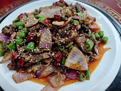 香辣牛肉-野菌王牦牛肉汤锅