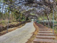 -牛鱼嘴原始生态风景区