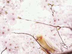 -龙美术馆(西岸馆)