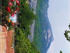 -石老人观光园