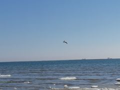 -金梦海湾浴场