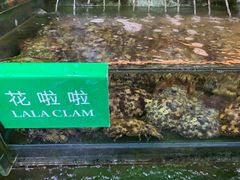 -無招牌海鮮(芽笼店)