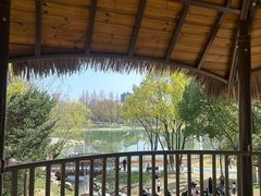 -宁波儿童公园(鄞州区)