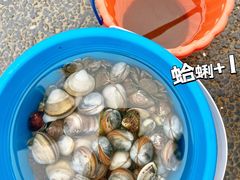 -启东黄金海滩景区