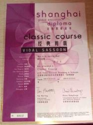 2006沙宣美发学院全球证书-IRIS爱蕊丝形象