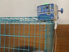 -瑞派雷欧宠物医院·中兽医·眼科·急重症转诊中心(黄台店)