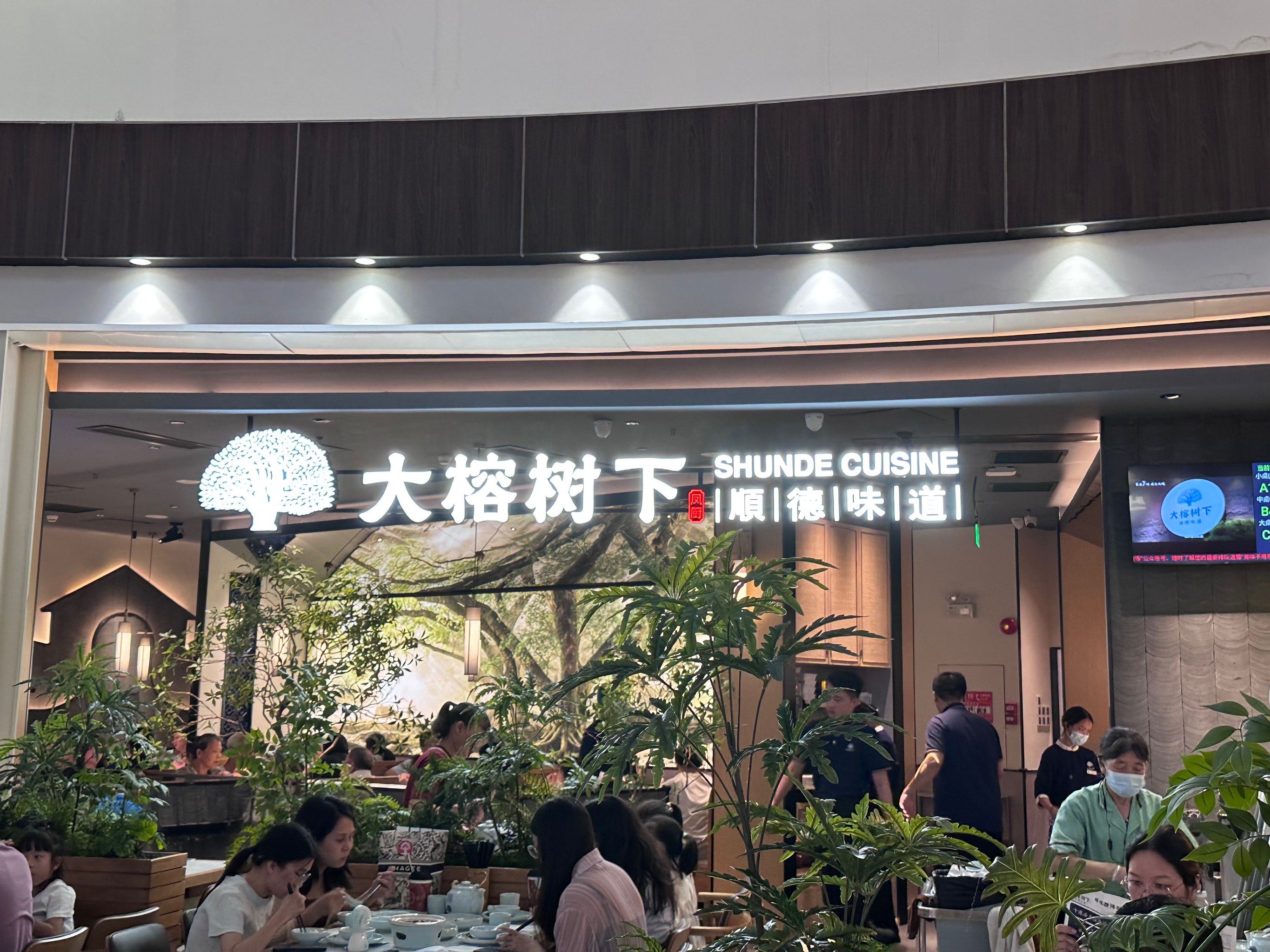 大榕树下顺德菜必打卡
