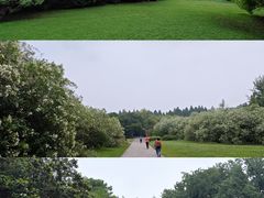 -上海共青森林公园