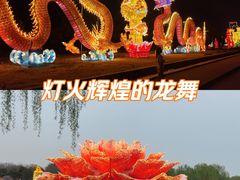 -洛阳市隋唐城遗址植物园