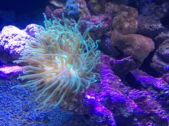 -锦艺城海洋馆