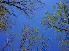 景点-玉渡山自然风景区