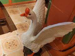 -春梅里卤鹅馆·47年老字号(中山路店)