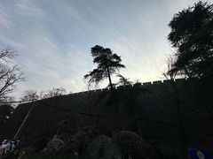 -紫金山山顶公园