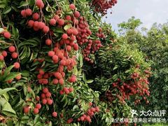 -呼伦贝尔大草原